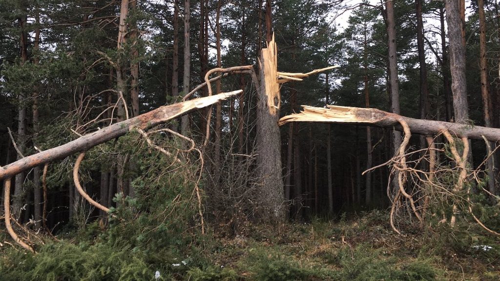 Nivel amarillo por viento: los bomberos alertan del peligro de los incendios agrícolas