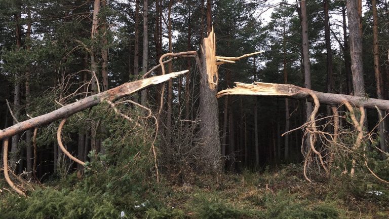 Nivel amarillo por viento: los bomberos alertan del peligro de los incendios agrícolas