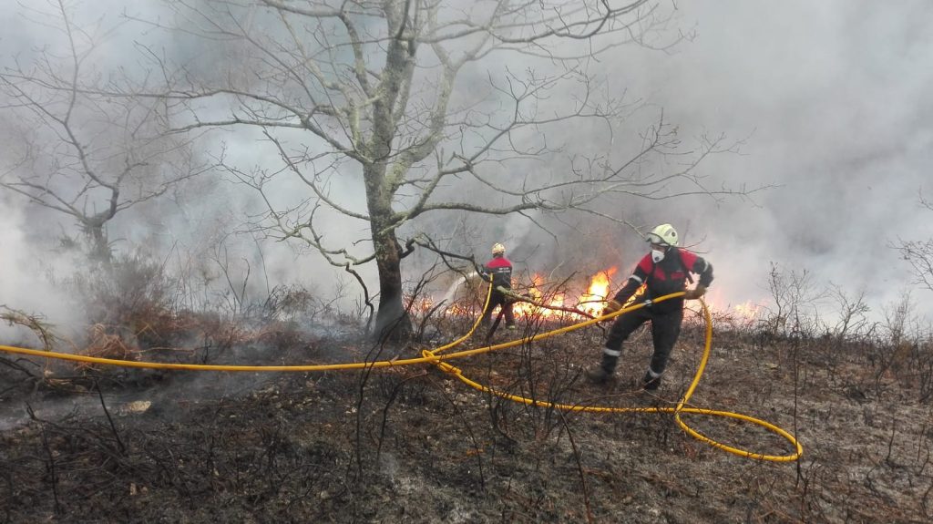 Los Bomberos sofocan un incendio forestal en Alcanadre