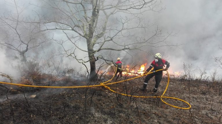 Los Bomberos sofocan un incendio forestal en Alcanadre