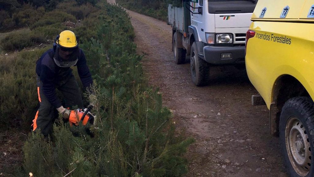 Del cortafuegos al salón: los forestales ‘decoran’ la Navidad riojana