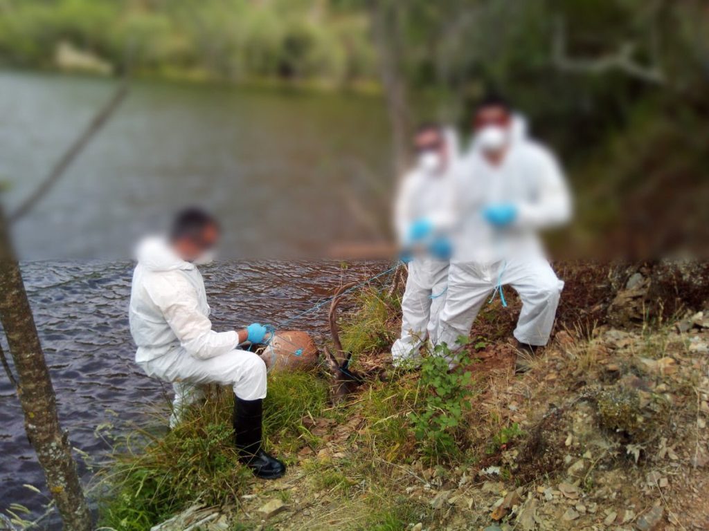 Retiran un ciervo con sarna en la cuenca del Najerilla