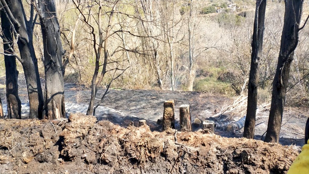 El fuego calcina en Cervera diez hectáreas de terreno