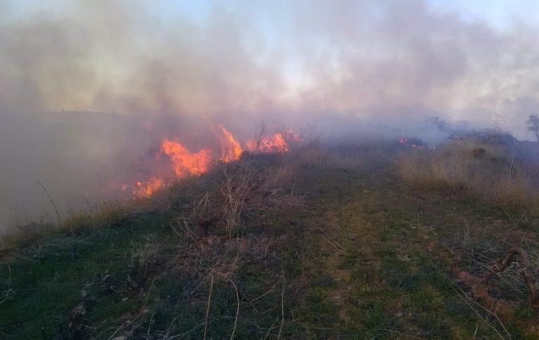 Los Bomberos Forestales controlan un incendio en Baños de Río Tobía