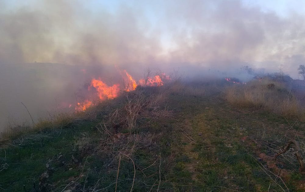 Los Bomberos Forestales controlan un incendio en Baños de Río Tobía