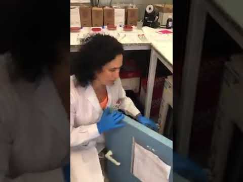 Prueba mascarillas depende uso (infección)