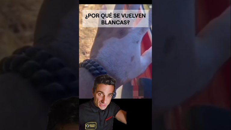 ¿Por qué las manos de este hombre se vuelven blancas?.#supervivencia #sabiasque #curiosidades