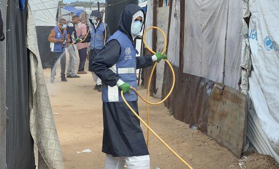 La plaga de ratas e insectos es el último desafío para los habitantes de Gaza