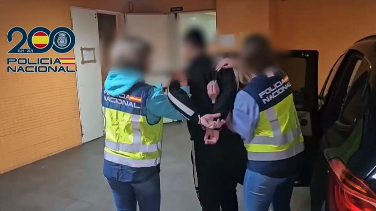 Detenido en Alicante un fugitivo buscado en Francia por homicidio