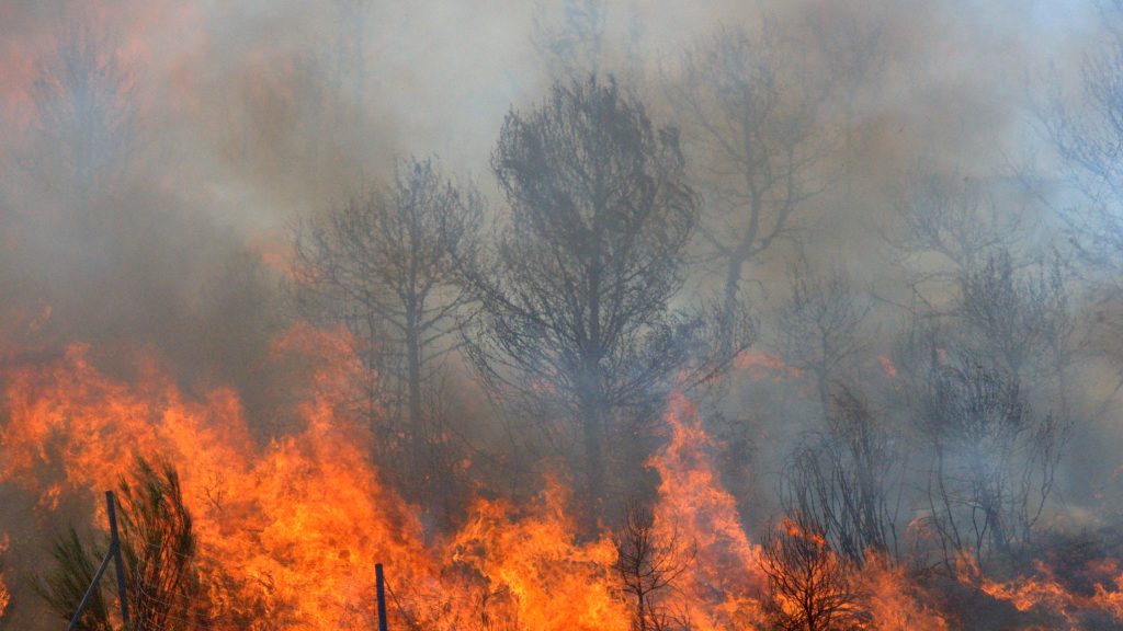 La campaña estival contra los incendios forestales a nivel nacional se adelanta al 1 de junio