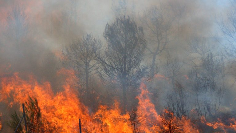 La campaña estival contra los incendios forestales a nivel nacional se adelanta al 1 de junio