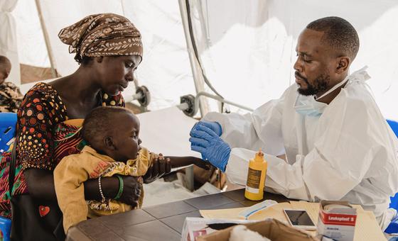 Brote de ántrax en la República Democrática del Congo