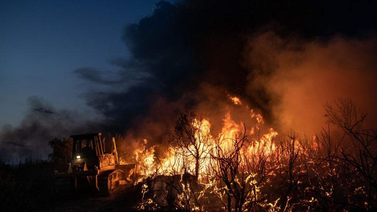 'Los rescoldos de la Culebra', las cenizas invisibles que deja un incendio: cambio climático, política y despoblación