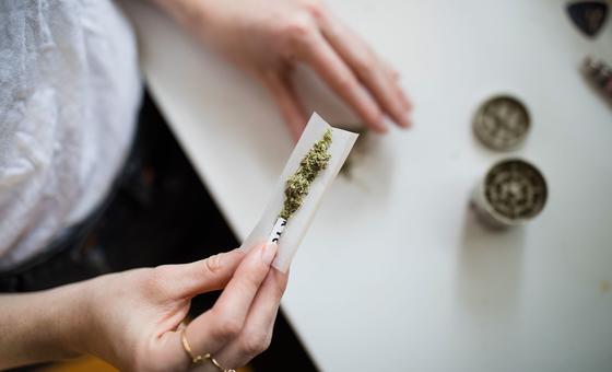 En 2023, cerca de 316 millones de personas consumieron drogas