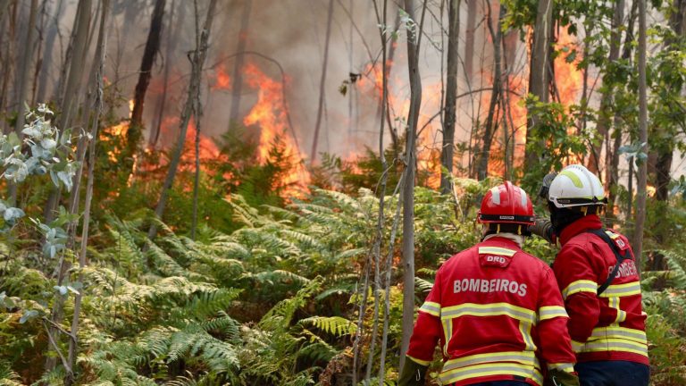 Portugal lucha contra dos incendios forestales en Arouca y Ponte da Barca