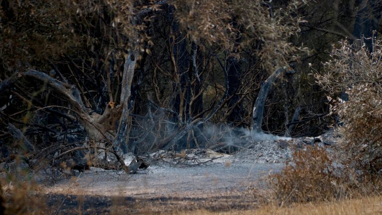 Els Bombers confien controlar l'incendi de Paüls aquesta tarda si la situació meteorològica no empitjora