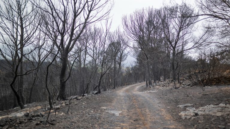Controlado el incendio en Paüls, que deja un técnico forestal muerto y 3.000 hectáreas arrasadas