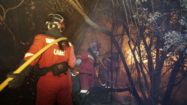 El incendio en Méntrida, Toledo, ya está en fase de control tras quemar más de 3.200 hectáreas