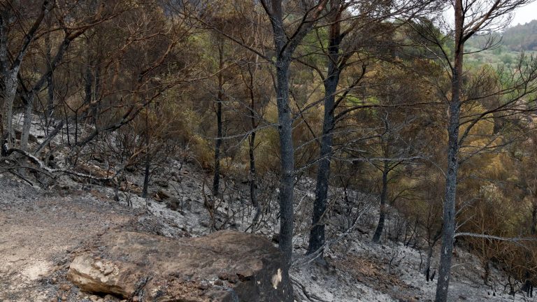 Un bomber mor en les tasques d'extinció de l'incendi de Paüls