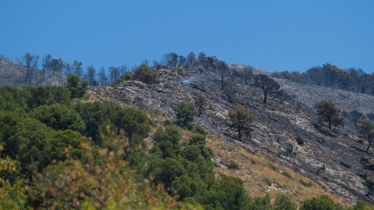 Los bomberos dan por estabilizado el incendio de Ibi, Alicante, y el de Navaluenga, Ávila, evoluciona de forma favorable
