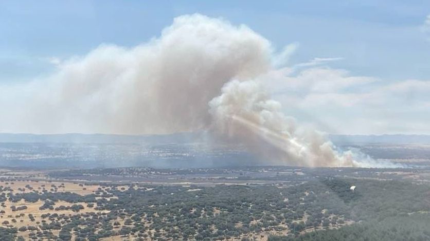 El viento agrava el incendio de Valdecaballeros, Badajoz, con más de 2.000 hectáreas quemadas