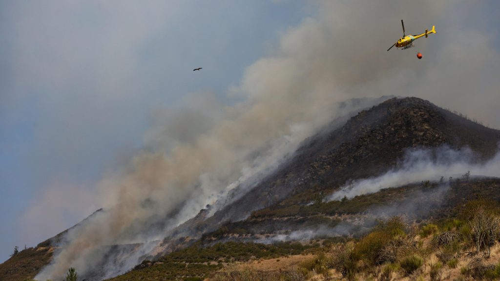 Incendios en España resumen  28 de agosto | Detenido un joven de 20 años como presunto autor del incendio en Berlanga del Bierzo