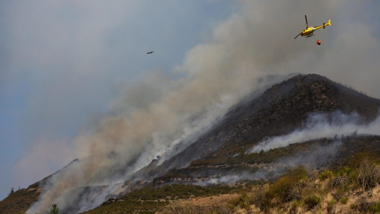 Incendios en España resumen  28 de agosto | Detenido un joven de 20 años como presunto autor del incendio en Berlanga del Bierzo
