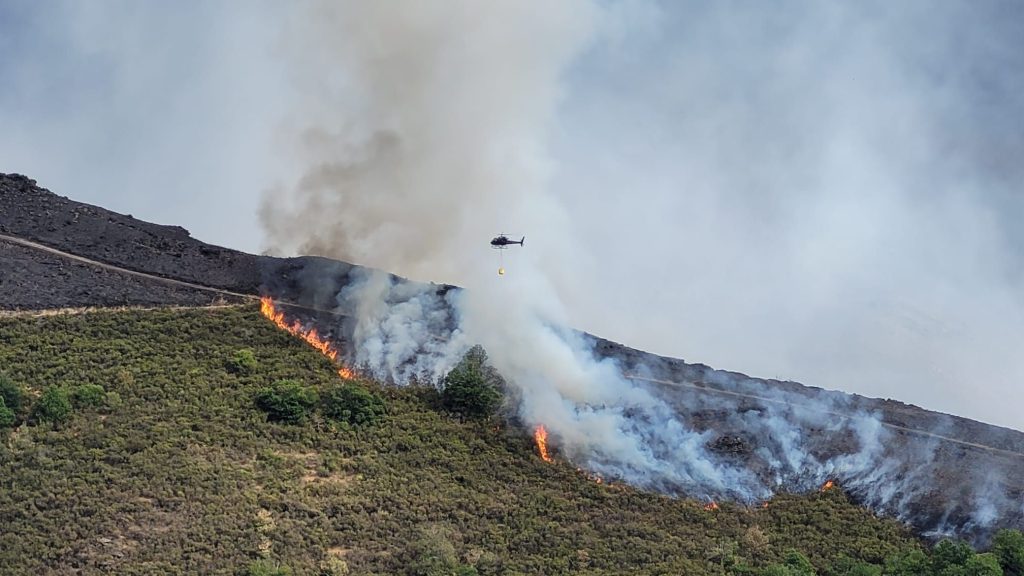Sequía flash: el fenómeno que podría estar tras la severidad de la ola de incendios