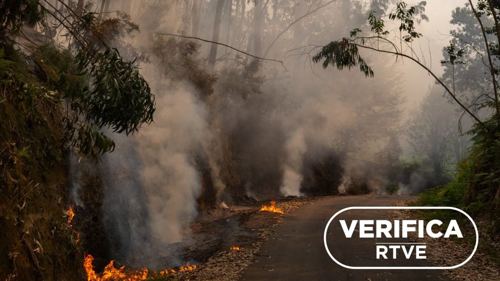 "No nos dejan limpiar el monte": por qué se malinterpreta la ley según ecologistas, ingenieros y agricultores