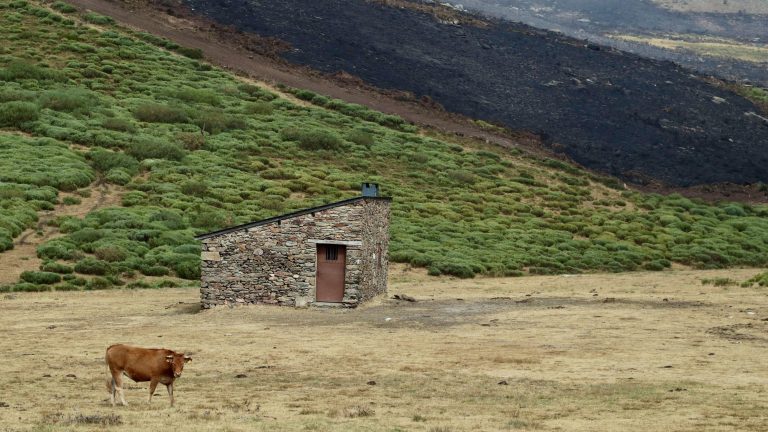 España da por finalizada la peor parte de la ola de incendios: "Esta batalla la hemos ganado entre todos"