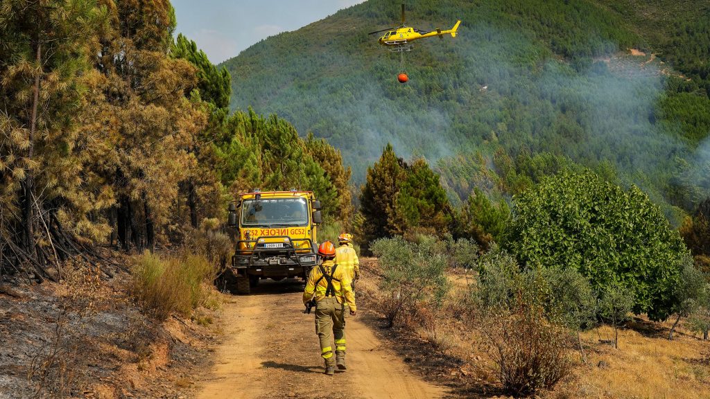 Los incendios de Las Hurdes y Ávila continúan activos pero evolucionan favorablemente