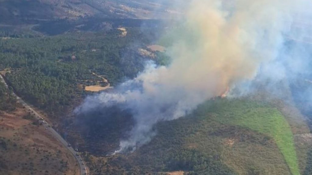 Un incendio en Tarifa obliga a evacuar un campin y a cortar la circulación en la N-340