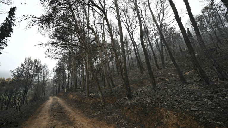 El megaincendio de Francia está controlado, pero tardarán "varios días" en la extinción total