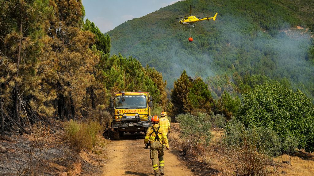 Los incendios evolucionan favorablemente: controlado el de Ávila y estabilizado el de Cáceres