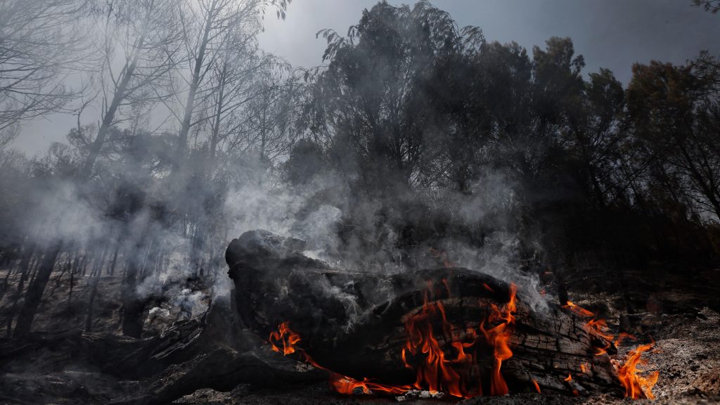 Incendios hoy en España, última hora en directo: La UME se despliega en un incendio en el norte de Madrid que obliga al desalojo de dos urbanizaciones