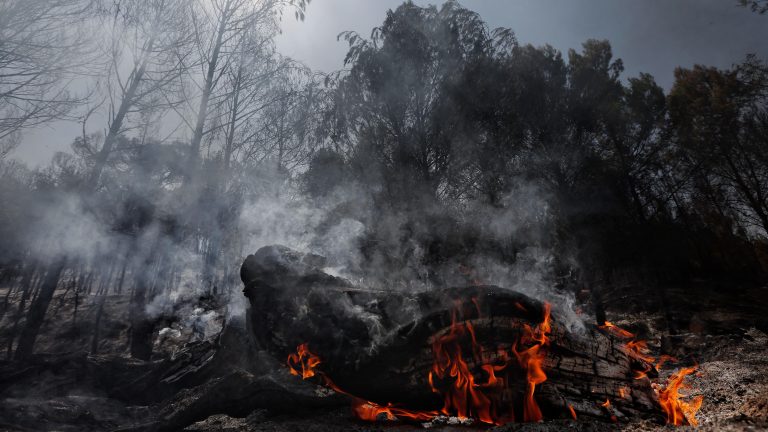 Incendios hoy en España, última hora en directo: La UME se despliega en un incendio en el norte de Madrid que obliga al desalojo de dos urbanizaciones