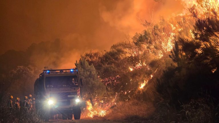 Guía para entender los incendios forestales: de los niveles de emergencia a su clasificación por tamaño