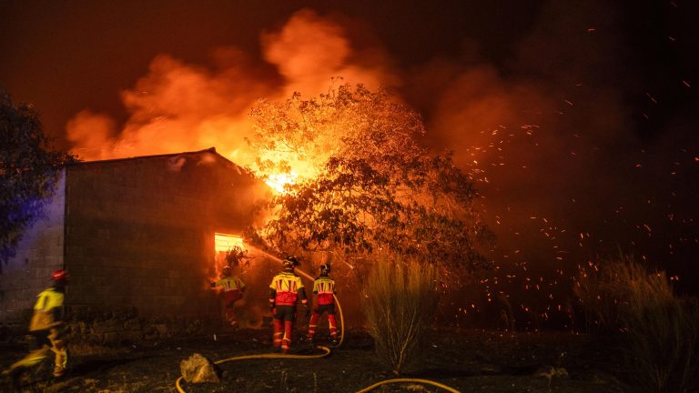 España combate la ola de incendios por cuarto día con especial intensidad en el triángulo de Zamora, Ourense y León
