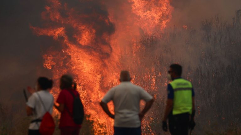 Incendios en España hoy, última hora en directo | El fuego entre Zamora y Ourense sigue descontrolado y el trabajo se centra en salvar casas