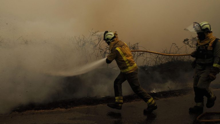 La masa forestal ha aumentado en España en los últimos 50 años: ¿ha crecido igualmente la inversión en prevención?