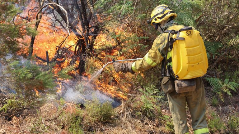 Los incendios que asolan España, en imágenes