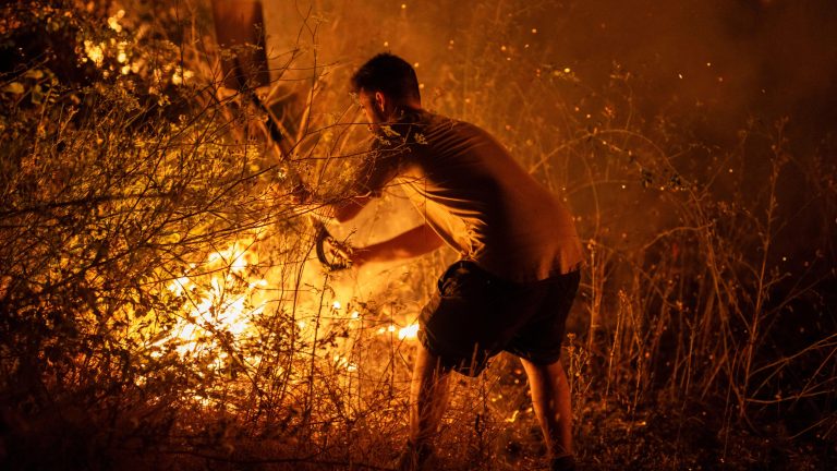 Menos incendios forestales que hace 20 años, pero "más virulentos, más intensos y más difíciles de apagar"