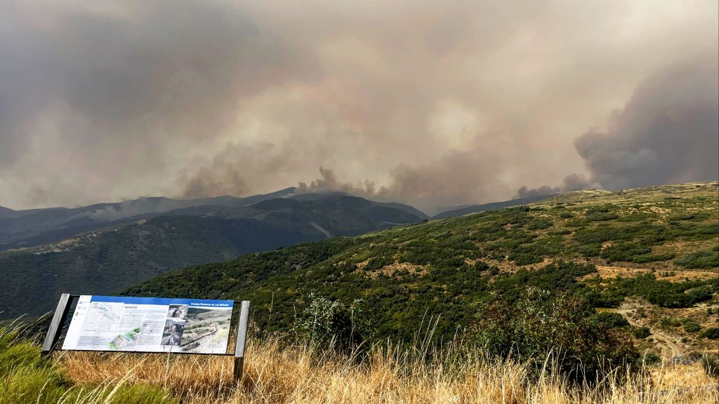 Incendios en España hoy, última hora en directo | El incendio de Jarilla, en Cáceres, está "totalmente descontrolado" y el 70% está inaccesible