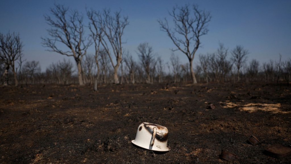 "Nos sentimos abandonados", el clamor de un pueblo zamorano que apagó sus fiestas cercado por las llamas