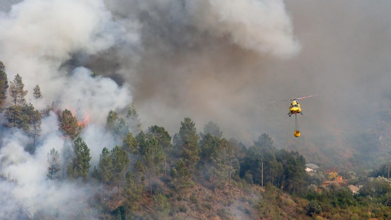 El PP tacha de "cortina de humo" el pacto de Estado contra los incendios y el Gobierno responde: "El cambio climático mata"
