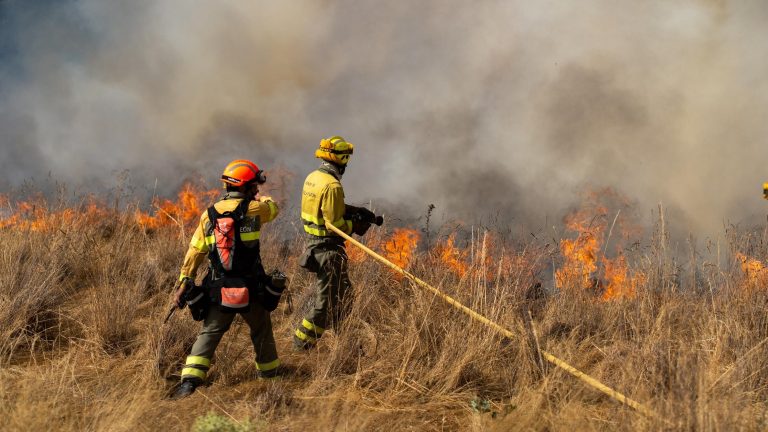 Balance de los incendios en España: más de 343.000 hectáreas arrasadas por el fuego en lo que va de año
