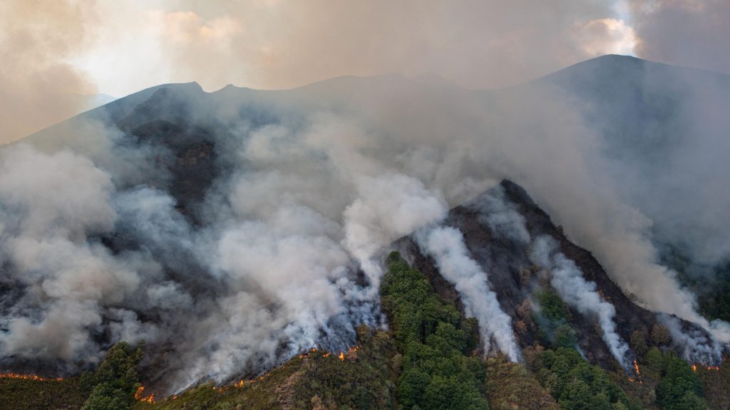 Los incendios de Galicia, Ourense, León y Zamora provocan las mayores emisiones de carbono en España desde al menos 2003