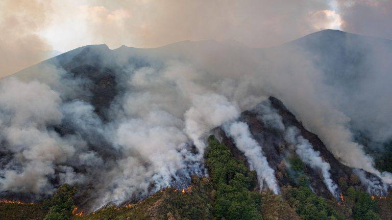 Los incendios de Galicia, Ourense, León y Zamora provocan las mayores emisiones de carbono en España desde al menos 2003
