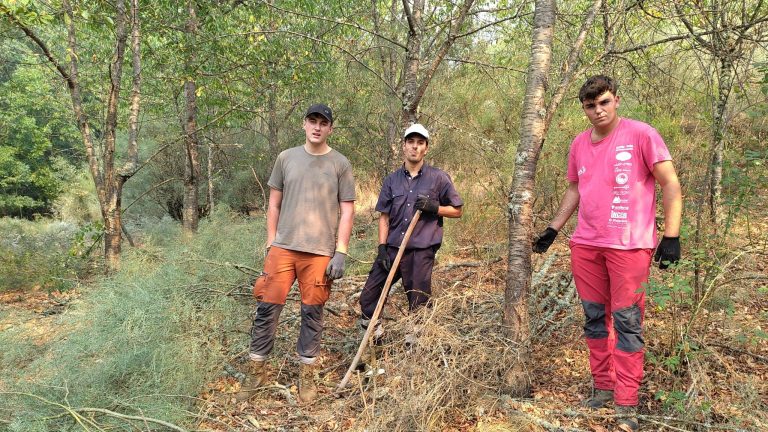 El periplo solidario de tres jóvenes en los incendios de León: "Nadie nos coordina, podíamos haber ayudado antes"