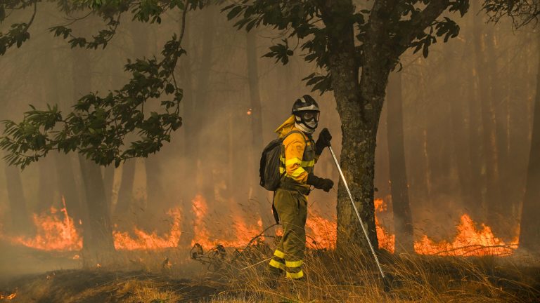 La Fiscalía de Medio Ambiente investiga si los municipios más afectados por los incendios tienen planes de prevención